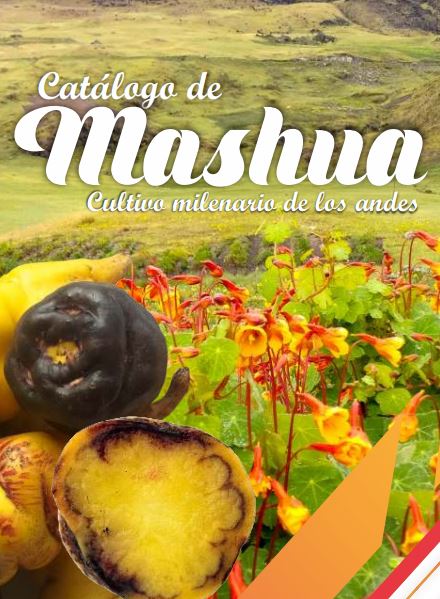 CATÁLOGO DE MASHUA: Cultivo milenario de los Andes