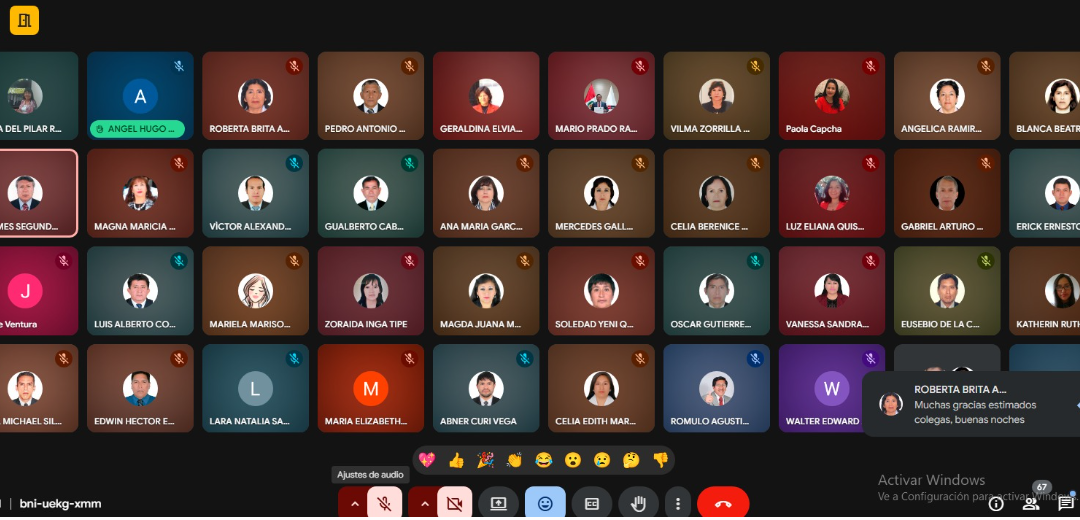 REUNIÓN VIRTUAL DE TUTORÍA CON LAS COMISIONES DE TUTORÍA DE LAS 28 ESCUELAS PROFESIONALES