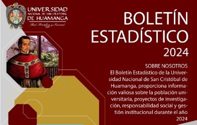 Boletín Estadístico 2024