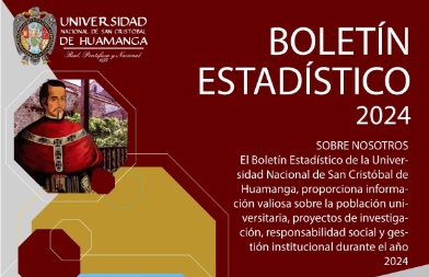 Boletín Estadístico 2024