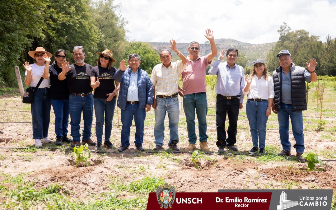 N.P. Nº 013 – ¡UNSCH RECIBE 500 PLANTONES DE UVA NEGRA PARA FUNDOWAYLLAPAMPA!