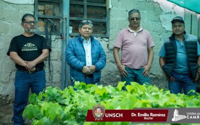 ¡UNSCH recibe 500 plantones de uva negra para fundo Wayllapampa!