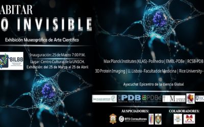 Ayacucho epicentro de la ciencia global: “HABITAR LO INVISIBLE”, la primera exhibición museográfica de arte científico inmersivo.