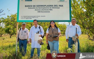 ¡UNSCH y la Universidad Nacional Toribio Rodríguez de Mendoza suman esfuerzos en investigación de chirimoya y lúcuma!