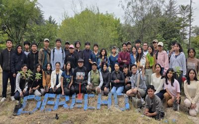 Facultad de Derecho y Ciencias Políticas impulsa jornada de forestación con participación estudiantil