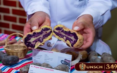 Agronomía promueve conservación de papas nativas con exhibición