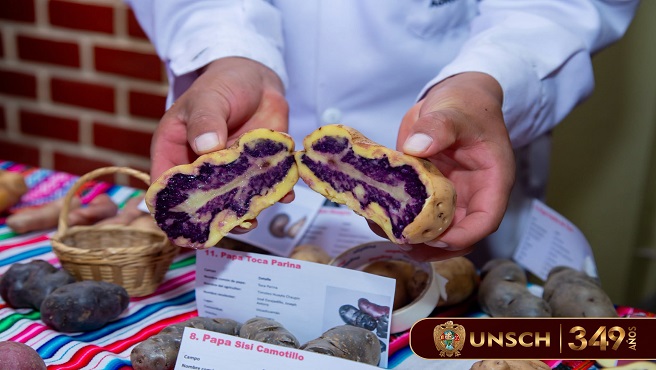 Agronomía promueve conservación de papas nativas con exhibición
