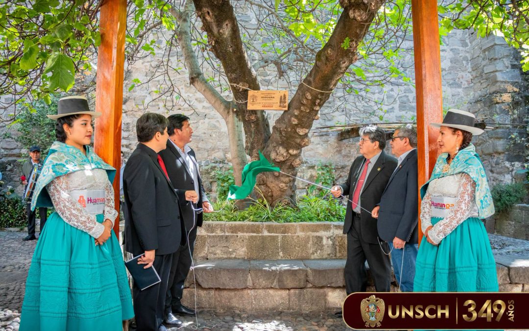 ¡HIGUERA DE LA UNSCH ES RECONOCIDA COMO ÁRBOL PATRIMONIAL DE HUAMANGA!