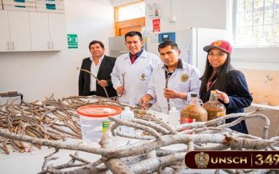 UNSCH realiza seguimiento a proyecto de investigación FOCAM