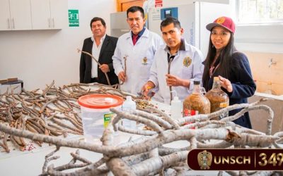 REALIZAMOS SEGUIMIENTO A PROYECTO DE INVESTIGACIÓN FINANCIADO POR FOCAM
