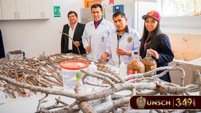 REALIZAMOS SEGUIMIENTO A PROYECTO DE INVESTIGACIÓN FINANCIADO POR FOCAM